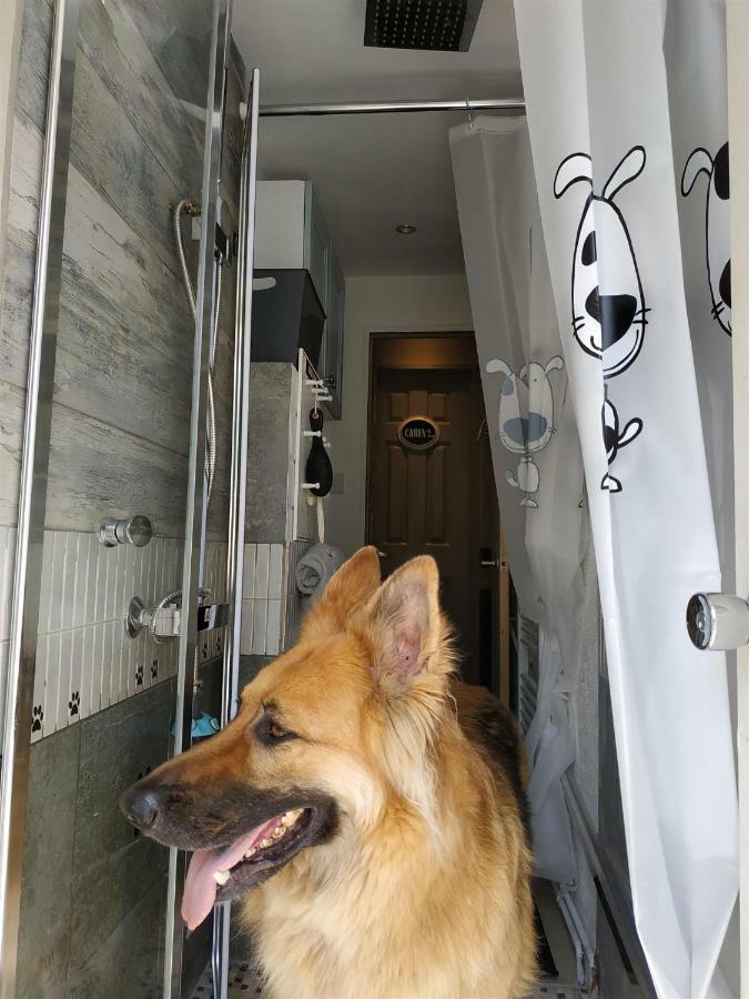 Dog Friendly Nancecliff Cottages Looe Bagian luar foto
