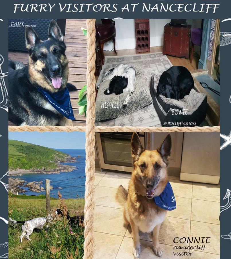 Dog Friendly Nancecliff Cottages Looe Bagian luar foto