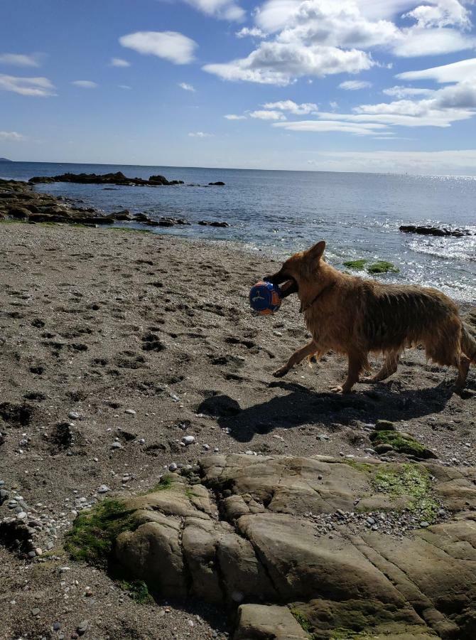 Dog Friendly Nancecliff Cottages Looe Bagian luar foto